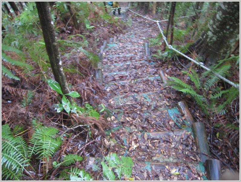 2012-12-01 15-19-06走在橫嶺山自然步道(木馬古道).JPG